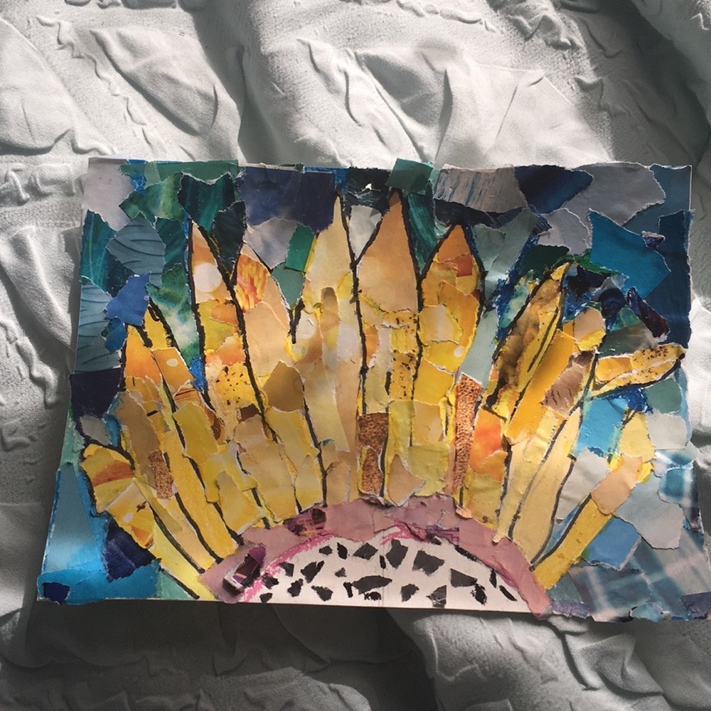 Beautiful sun flower collage